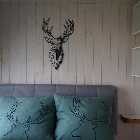 Tinyhouse Heimatglueck Villa Bad Berleburg Kültér fotó